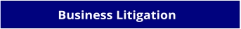 Business Litigation