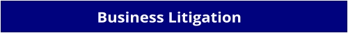 Business Litigation