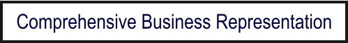 Comprehensive Business Representation