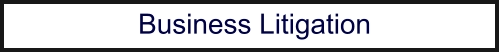 Business Litigation